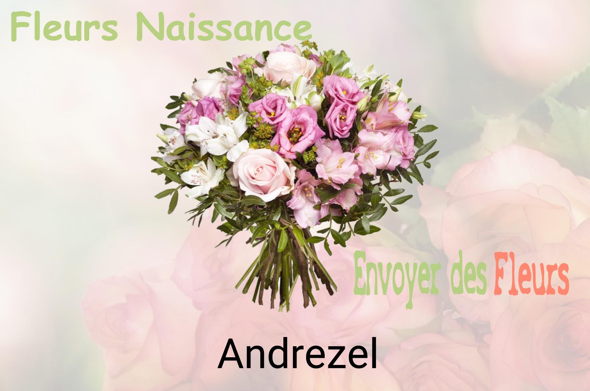 Bouquet de fleurs de naissance livré à Andrezel